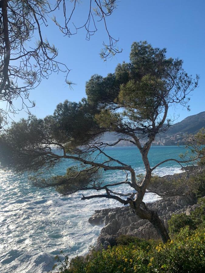 Castiello B&B Roquebrune-Cap-Martin Exterior foto